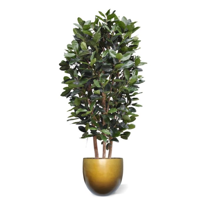 Elastica Robusta Kolom Kunstboom Deluxe 300cm groen - NOVA LIGNUM