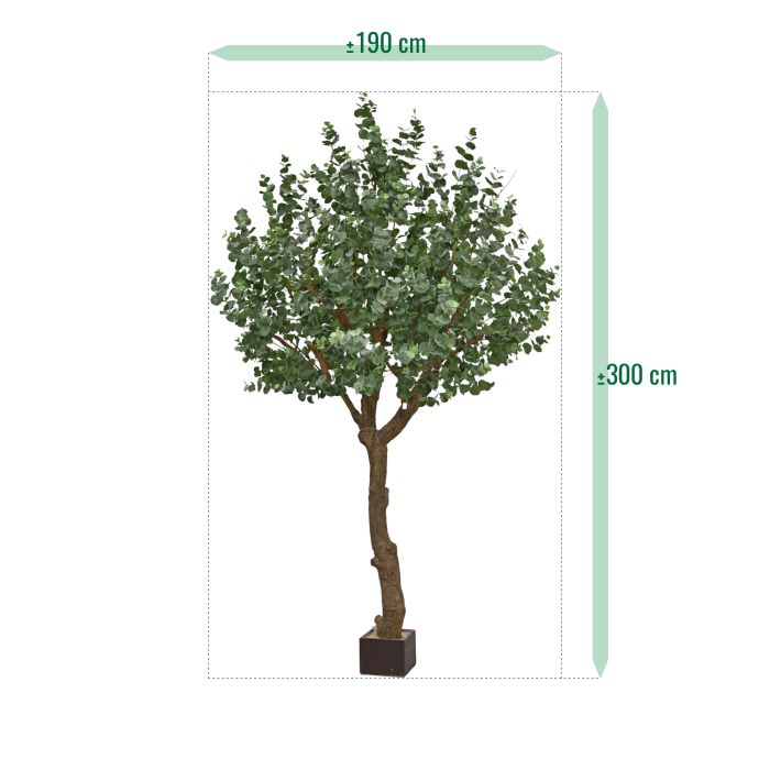 Eucalyptus Kunstboom XL 300cm - afbeelding 13