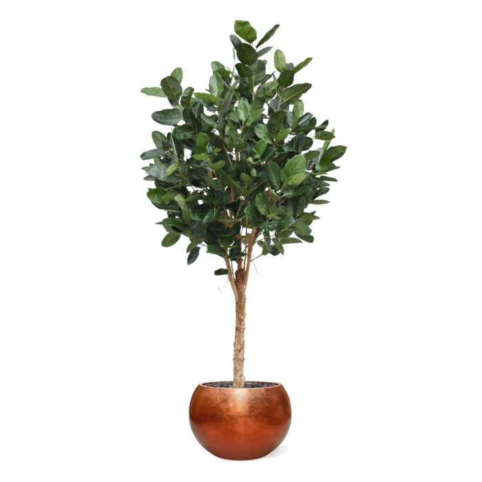 Ficus Audrey Kunstboom Deluxe 250cm - NOVA LIGNUM