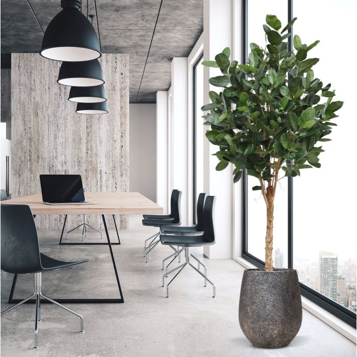 Ficus Audrey Kunstboom Deluxe 250cm - NOVA LIGNUM