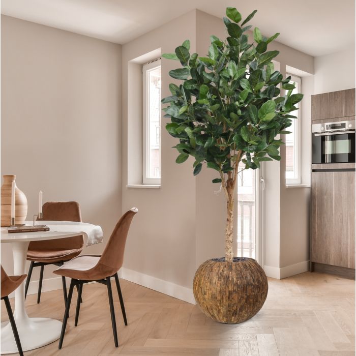 Ficus Audrey Kunstboom Deluxe 250cm - NOVA LIGNUM
