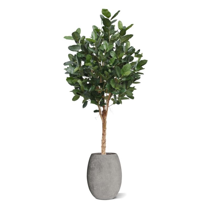 Ficus Audrey Kunstboom Deluxe 250cm - NOVA LIGNUM