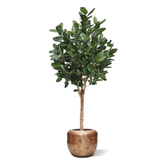 Ficus Audrey Kunstboom Deluxe 250cm - NOVA LIGNUM