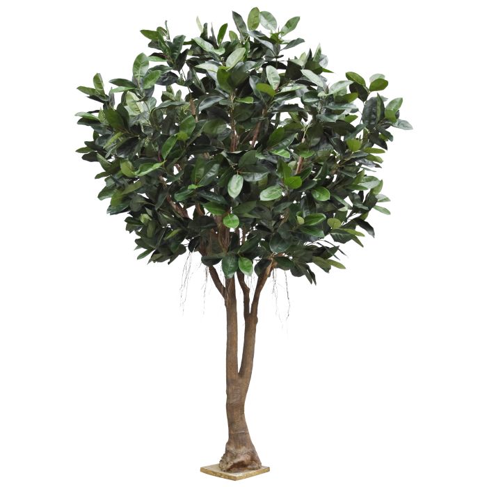 Ficus Elastica Robusta Kunstboom XXL Deluxe 350cm - NOVA LIGNUM