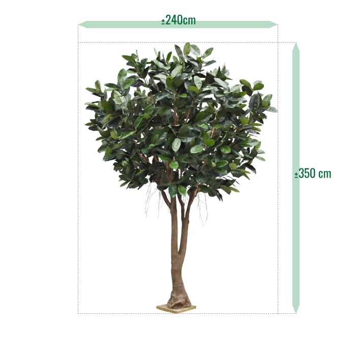 Ficus Elastica Robusta Kunstboom XXL Deluxe 350cm - afbeelding 5
