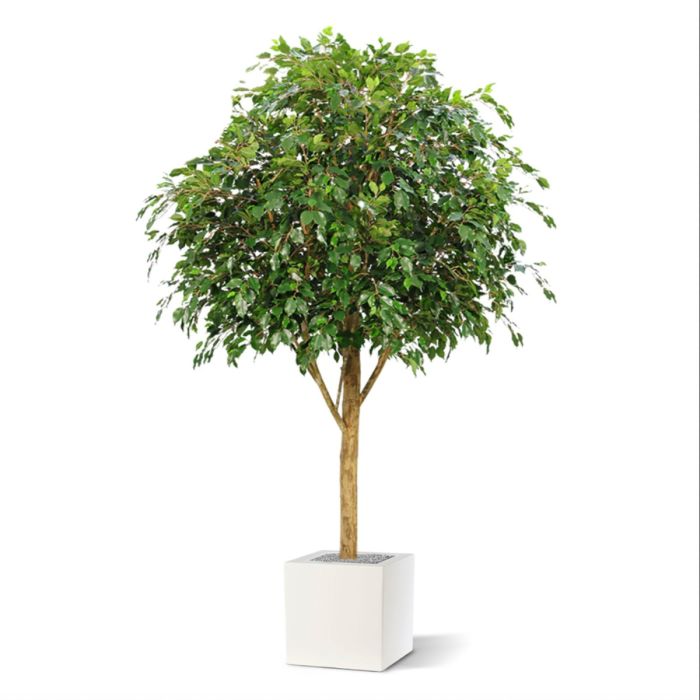 Ficus Exotica Giant kunstboom 290cm - FR - brandvertragend - NOVA LIGNUM