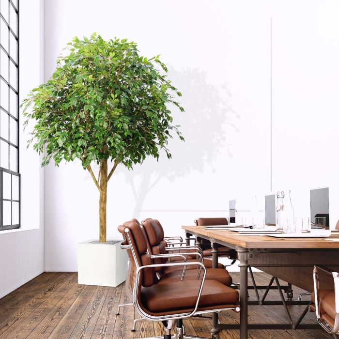 Ficus Exotica Giant kunstboom 290cm - FR - brandvertragend - NOVA LIGNUM
