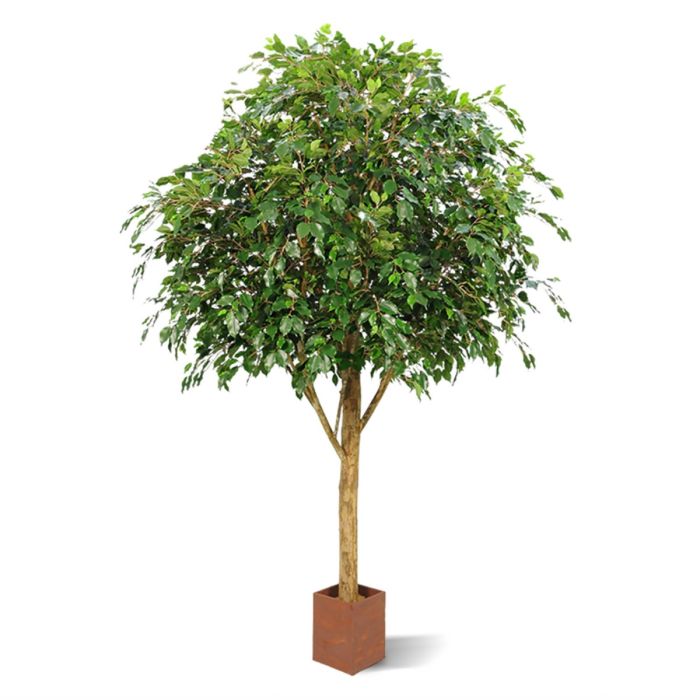 Ficus Exotica Giant kunstboom 290cm - FR - brandvertragend - NOVA LIGNUM
