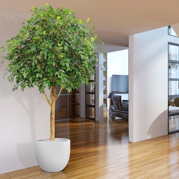 Ficus Exotica Giant kunstboom 290cm - FR - brandvertragend - NOVA LIGNUM