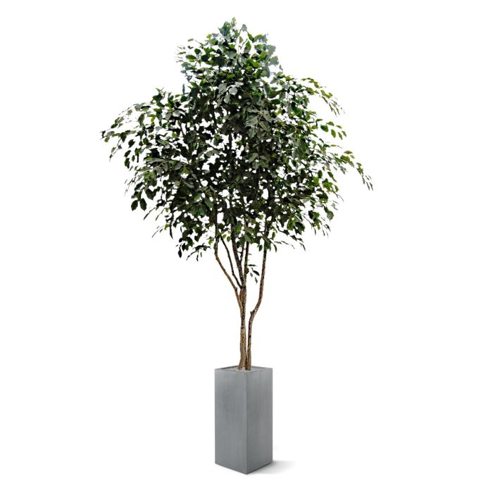Ficus Exotica kunstboom 330cm - NOVA LIGNUM