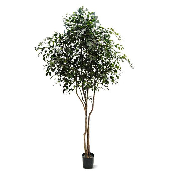 Ficus Exotica kunstboom 330cm - NOVA LIGNUM