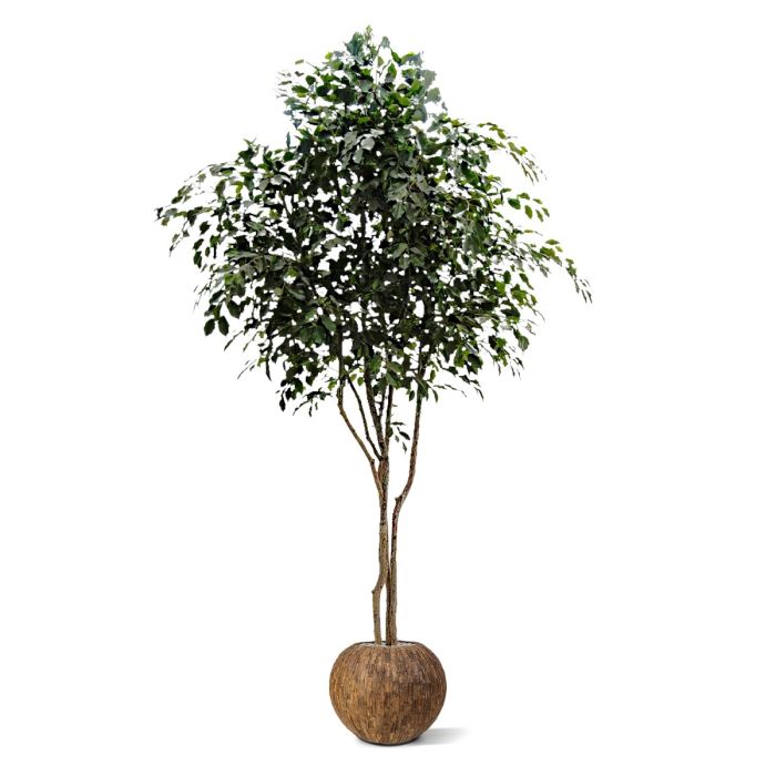 Ficus Exotica kunstboom 330cm - NOVA LIGNUM