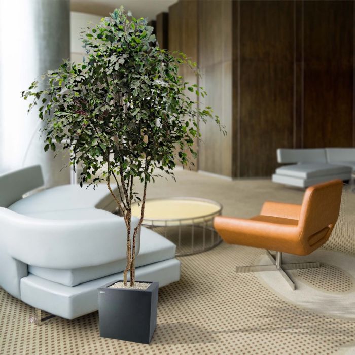 Ficus Exotica kunstboom 330cm - NOVA LIGNUM