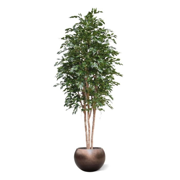 Ficus Exotica Kunstboom Deluxe 300cm groen - NOVA LIGNUM