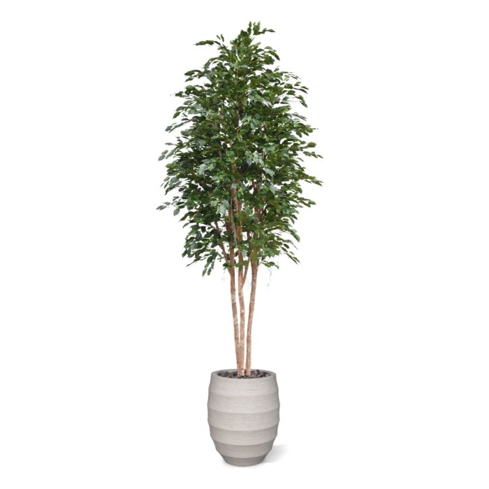 Ficus Exotica Kunstboom Deluxe 300cm groen - NOVA LIGNUM