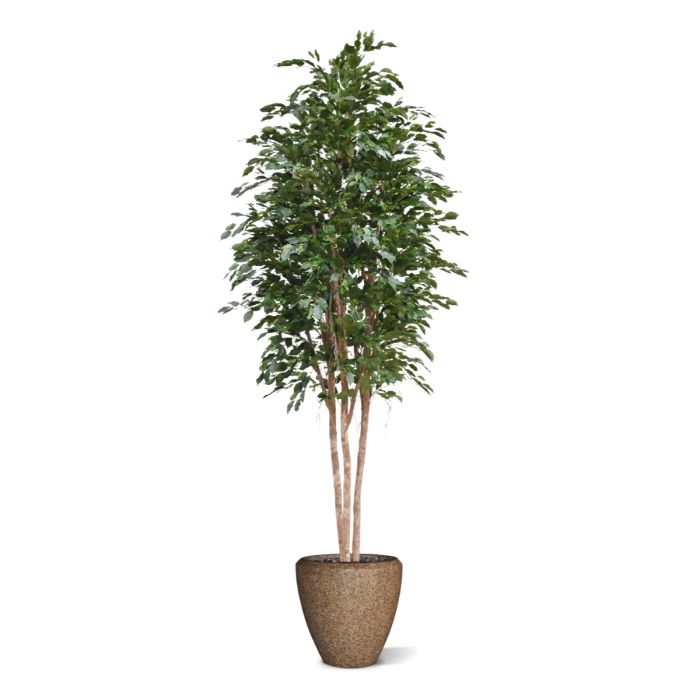Ficus Exotica Kunstboom Deluxe 300cm groen - NOVA LIGNUM
