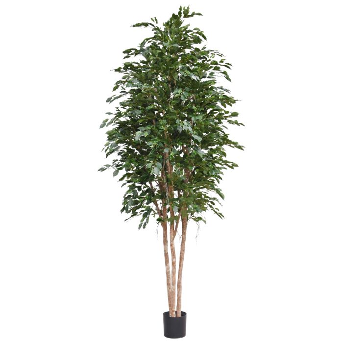 Ficus Exotica Kunstboom Deluxe 300cm groen - NOVA LIGNUM