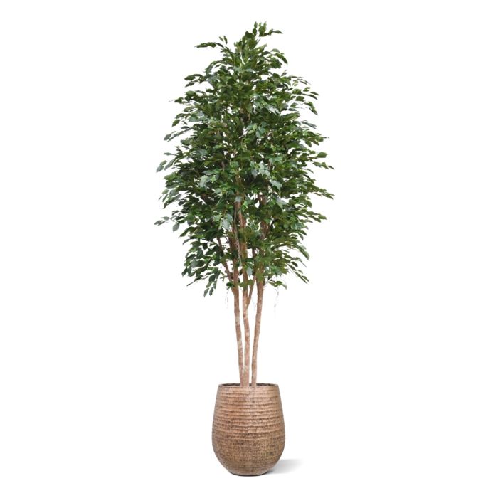 Ficus Exotica Kunstboom Deluxe 300cm groen - NOVA LIGNUM