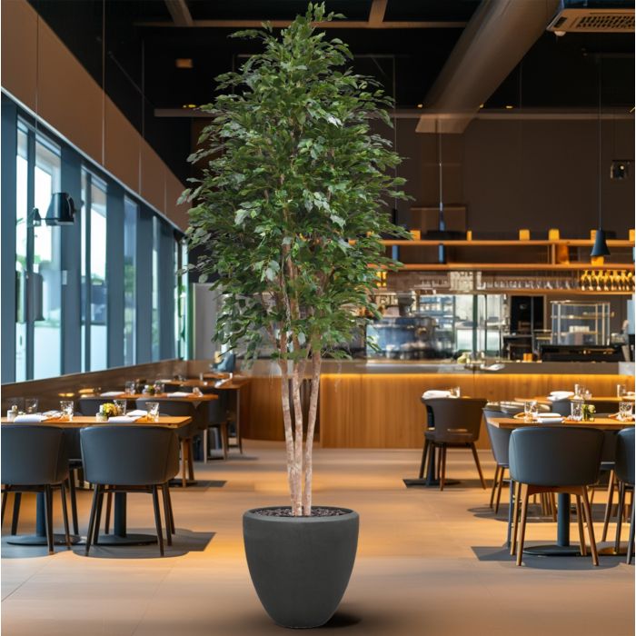 Ficus Exotica Kunstboom Deluxe 300cm groen - NOVA LIGNUM
