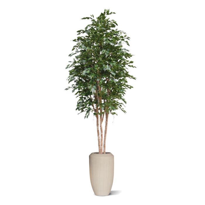Ficus Exotica Kunstboom Deluxe 300cm groen - NOVA LIGNUM