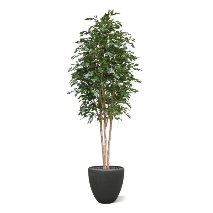 Ficus Exotica Kunstboom Deluxe 300cm groen - NOVA LIGNUM