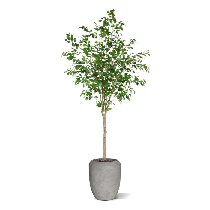 Ficus Exotica Kunstboom op stam 230cm - NOVA LIGNUM
