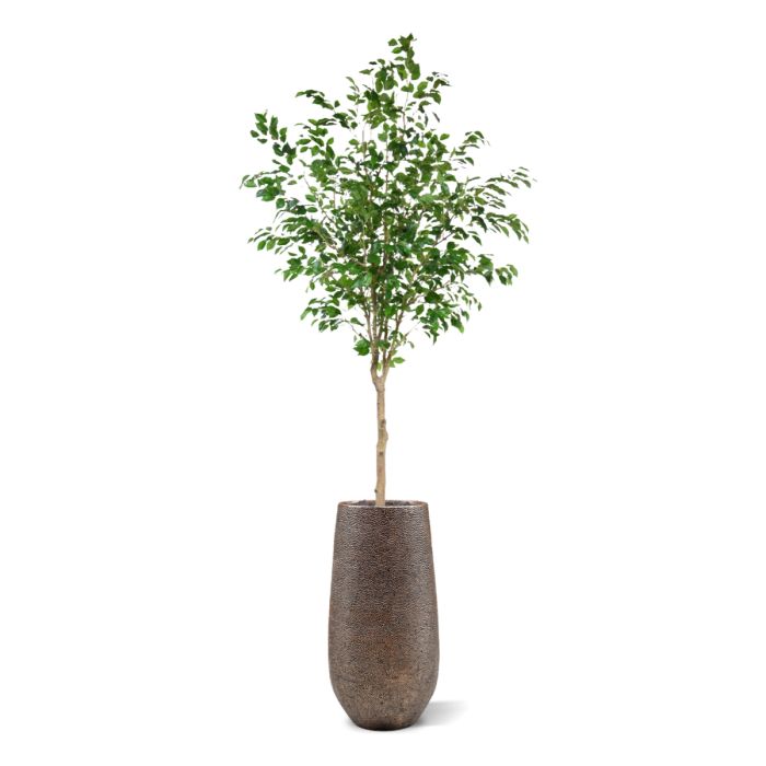 Ficus Exotica Kunstboom op stam 230cm - NOVA LIGNUM