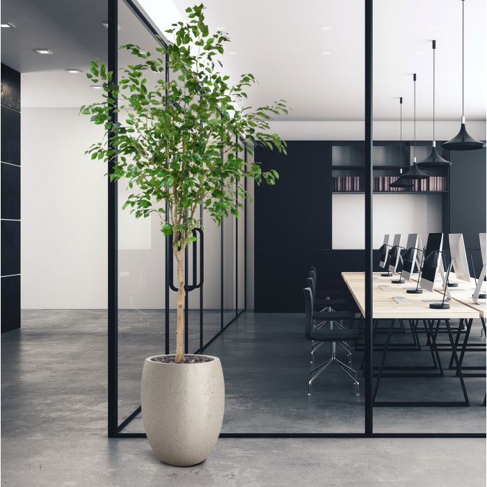 Ficus Exotica Kunstboom op stam 230cm - NOVA LIGNUM