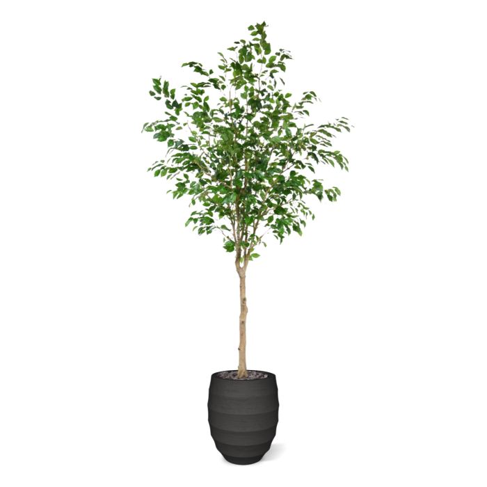 Ficus Exotica Kunstboom op stam 230cm - NOVA LIGNUM