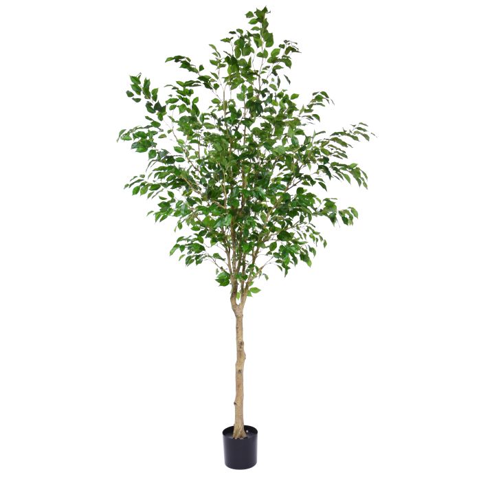 Ficus Exotica Kunstboom op stam 230cm - NOVA LIGNUM