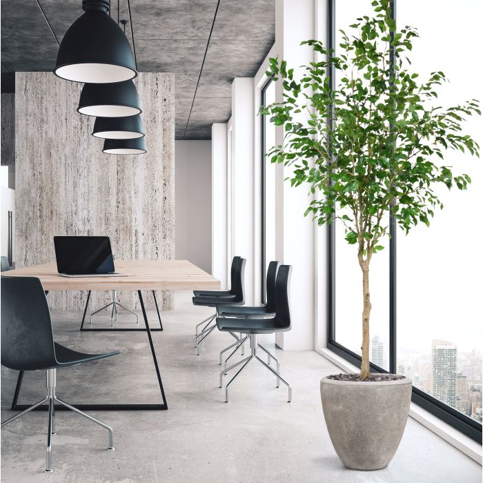 Ficus Exotica Kunstboom op stam 230cm - NOVA LIGNUM