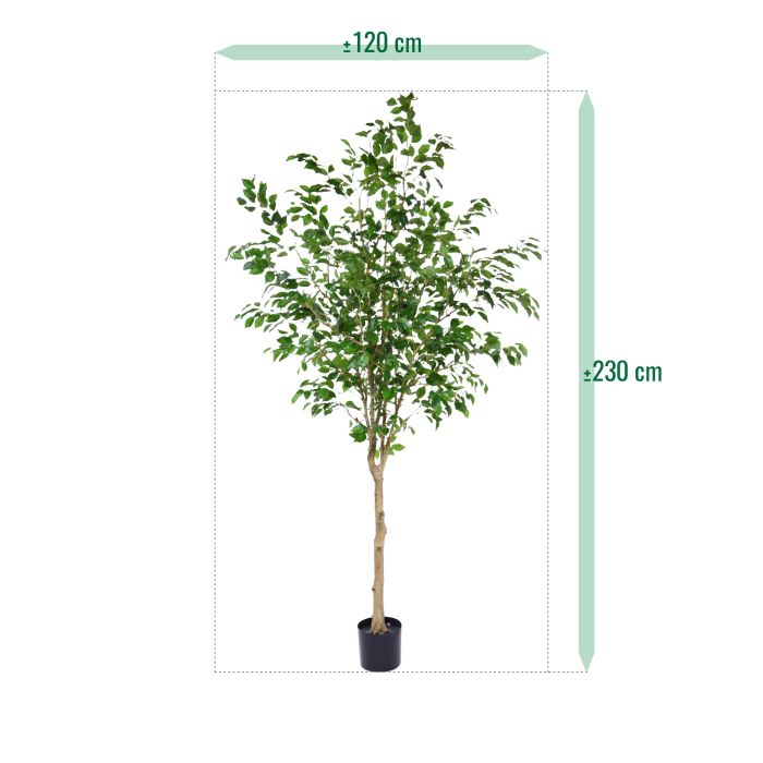 Ficus Exotica Kunstboom op stam 230cm - NOVA LIGNUM