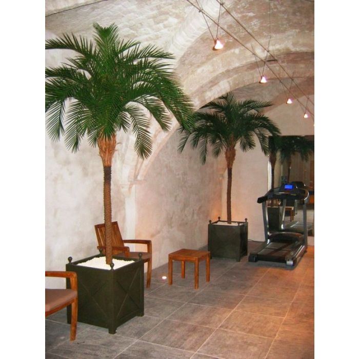 Phoenix kunstpalm deluxe OD 300cm - afbeelding 2