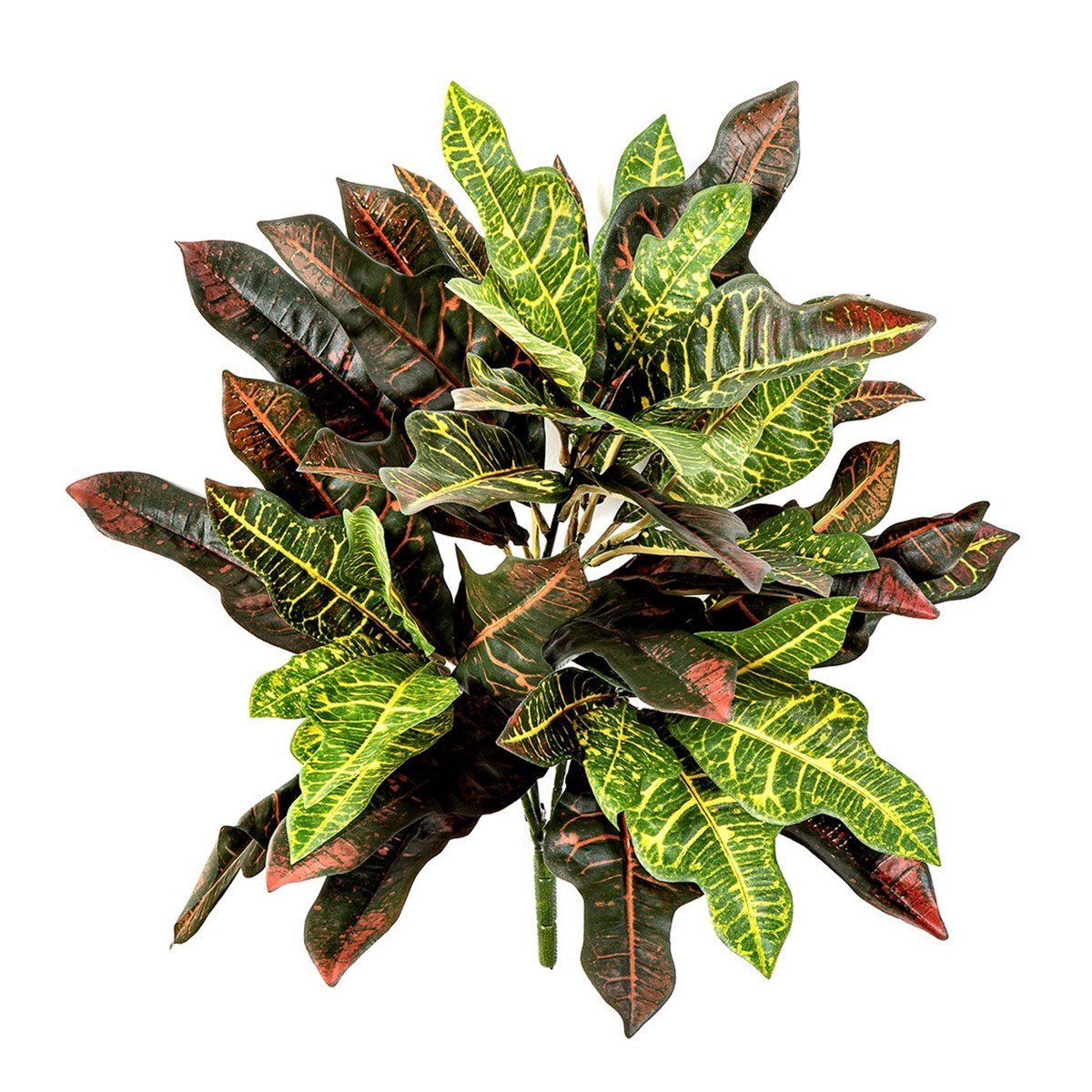 Fire Retardant Croton Bush x 48 - NOVA LIGNUM