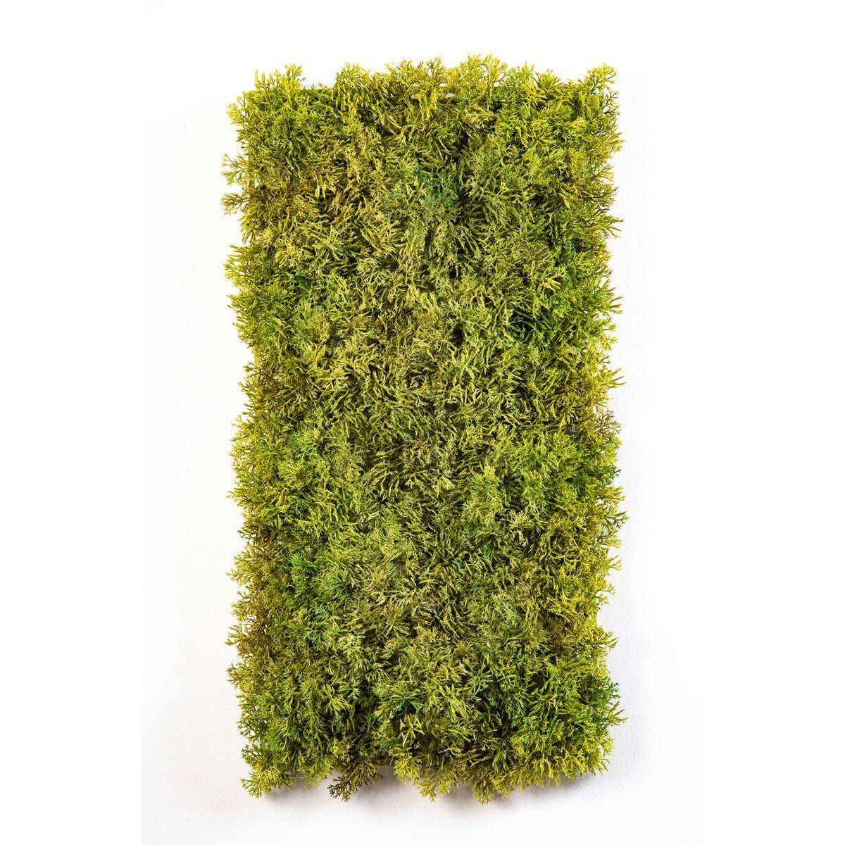 FIRE RETARDANT MOSS CARPET 25 X 50 CM MIXED GREEN - NOVA LIGNUM