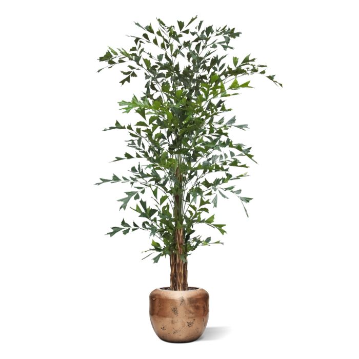 Fishtail Kunstpalm Deluxe XXL 300cm - NOVA LIGNUM
