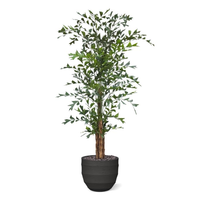 Fishtail Kunstpalm Deluxe XXL 300cm - NOVA LIGNUM