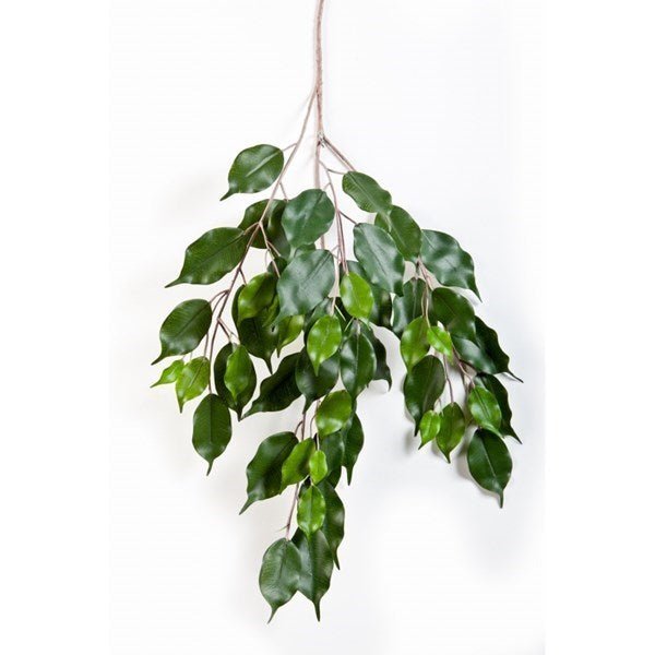 Flame Ret. Ficus exotica spray - NOVA LIGNUM