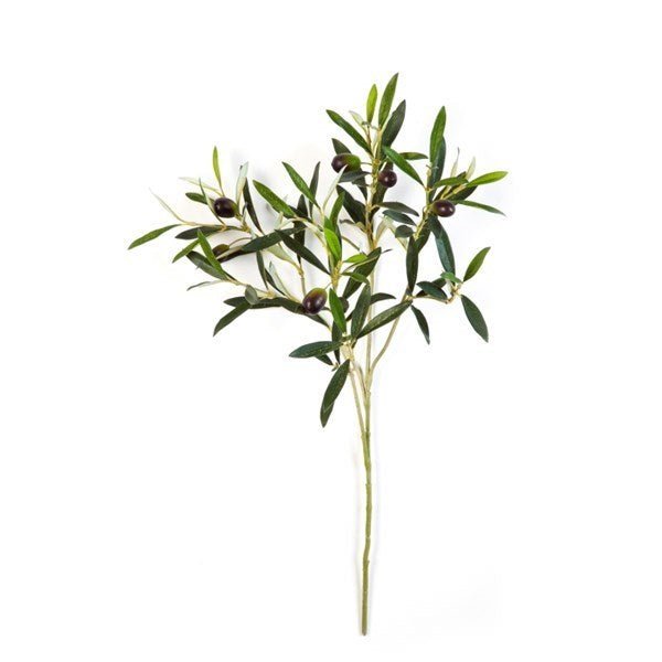 Flame Ret. Natural olive spray with fruits - NOVA LIGNUM