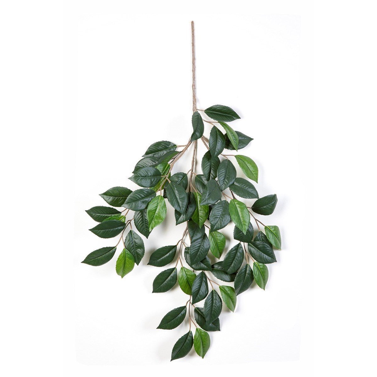 Flame retardant Camelia spray x 3 - NOVA LIGNUM