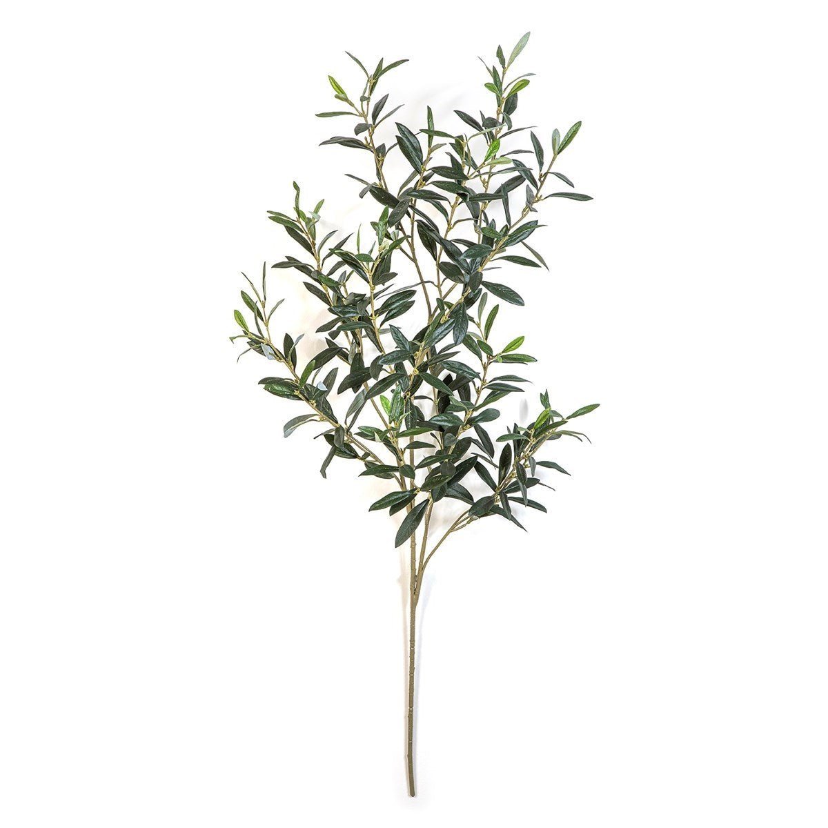 Flame Retardant Giant Olive Spray - NOVA LIGNUM