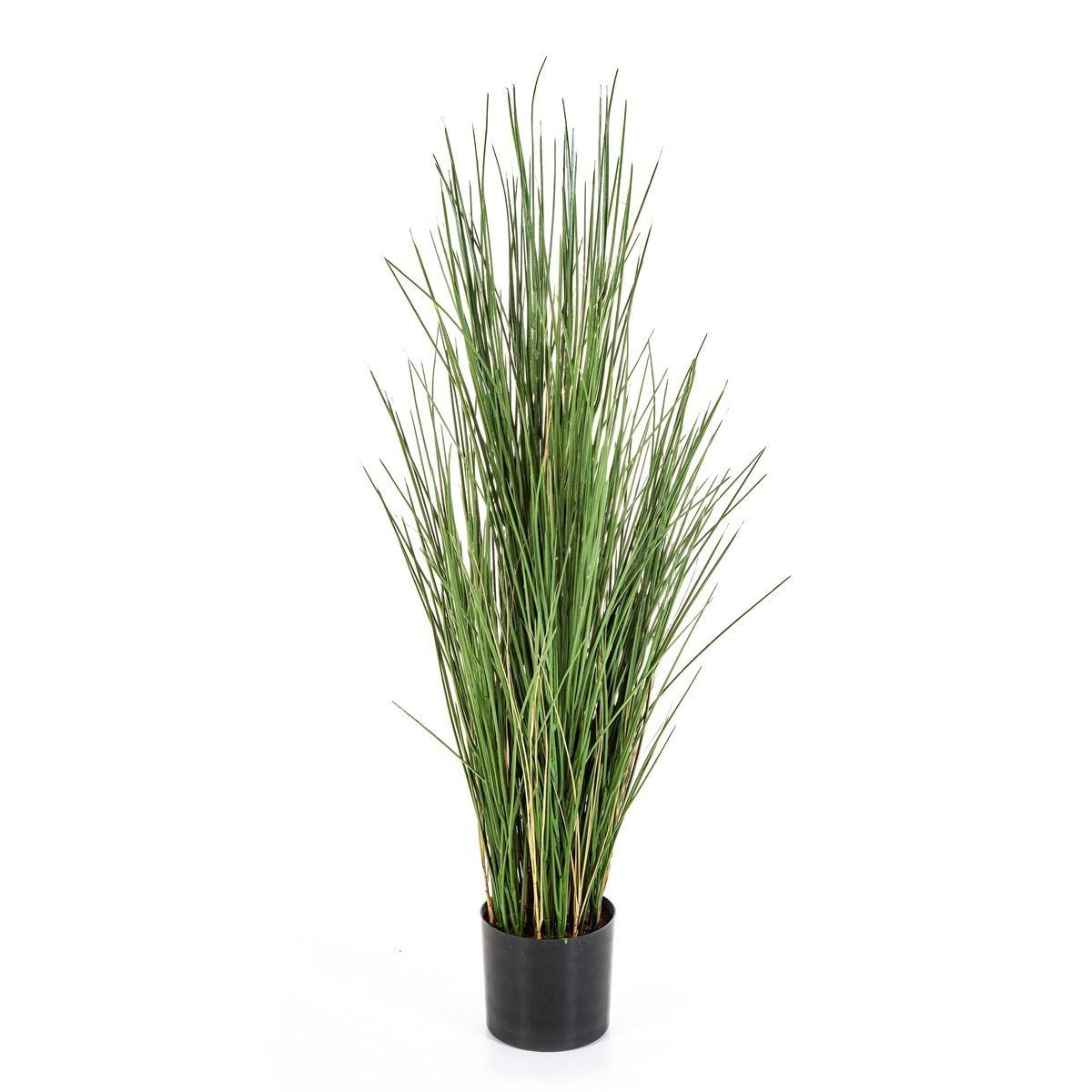 Flame Retardant Honey Grass 120 cm w/pot - NOVA LIGNUM