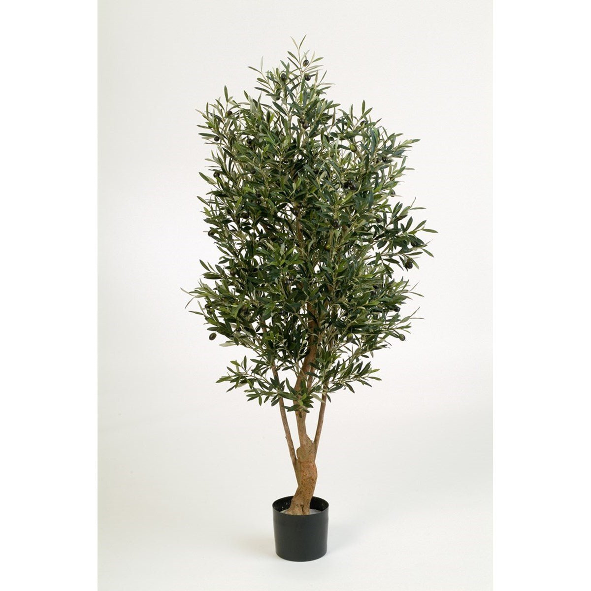 Flame Retardant Natural Twisted Olive Tree w/fruits - NOVA LIGNUM