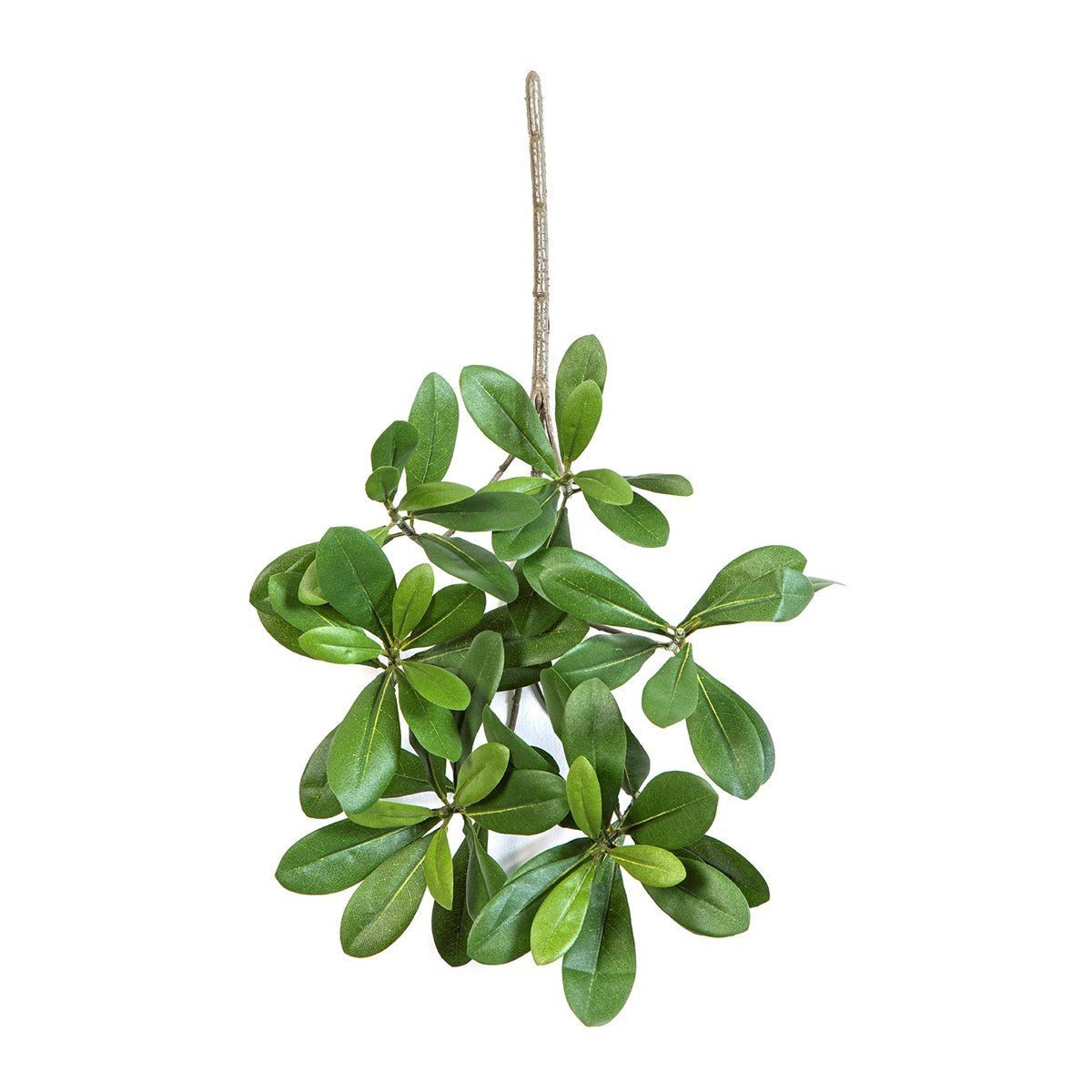 Flame Retardant Pittisporum Spray Light Green - NOVA LIGNUM