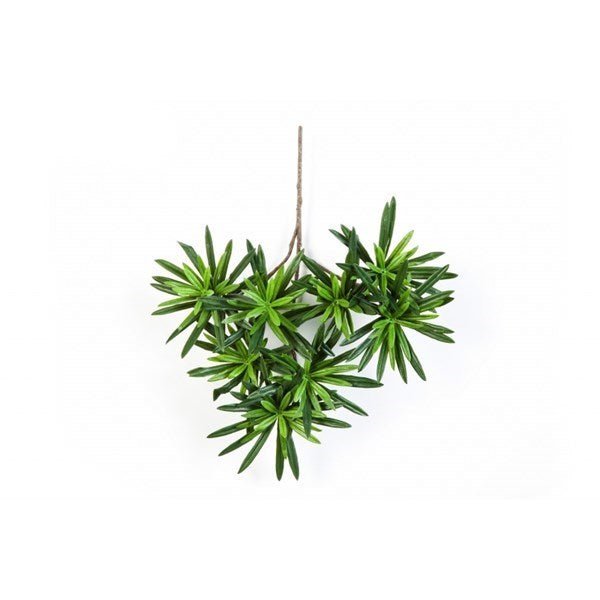 Flame retardant Podocarpus spray - NOVA LIGNUM