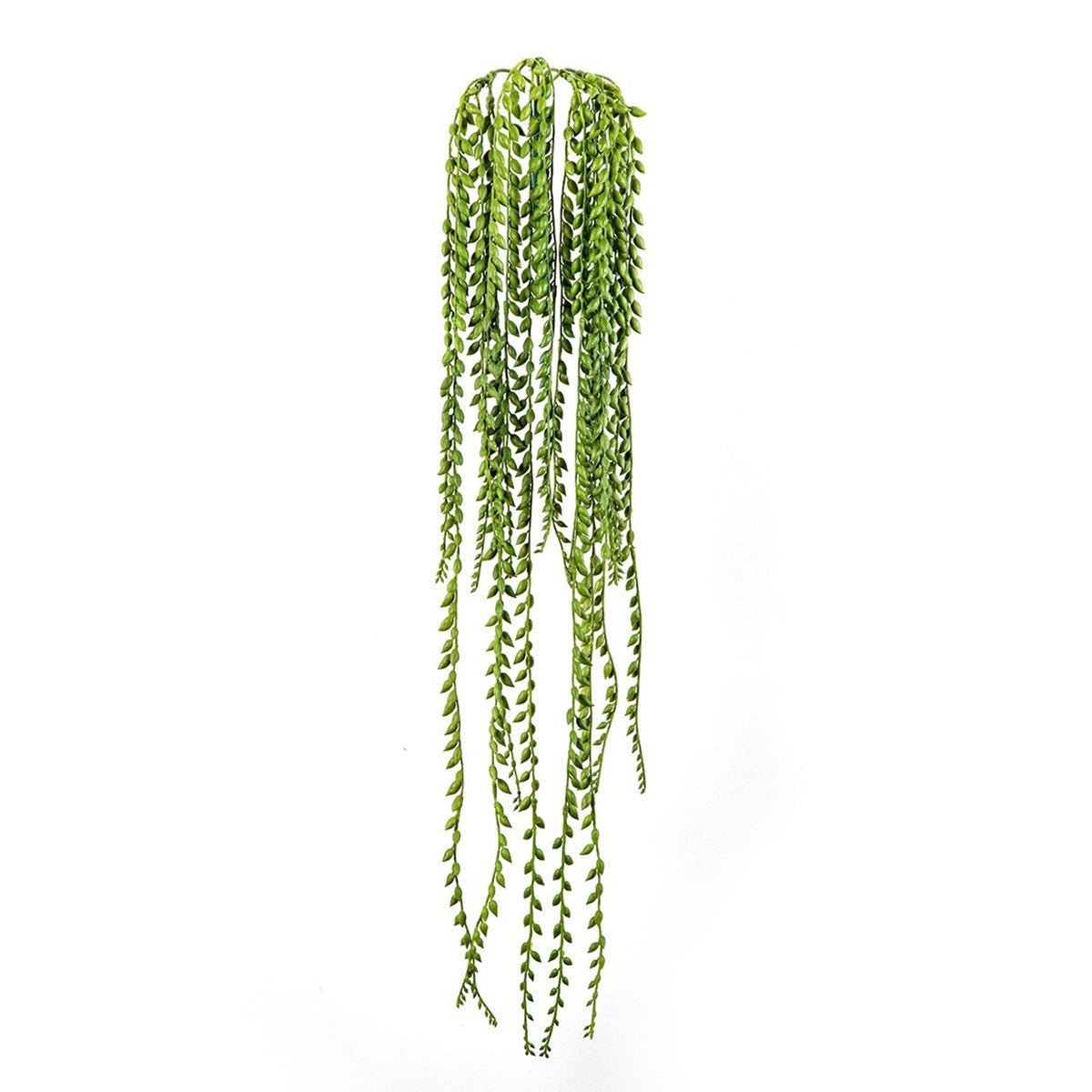 Flame Retardant Senecio Hanging Bush - NOVA LIGNUM