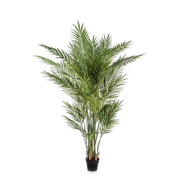 Forest Areca Palm w/p 170 cm - NOVA LIGNUM