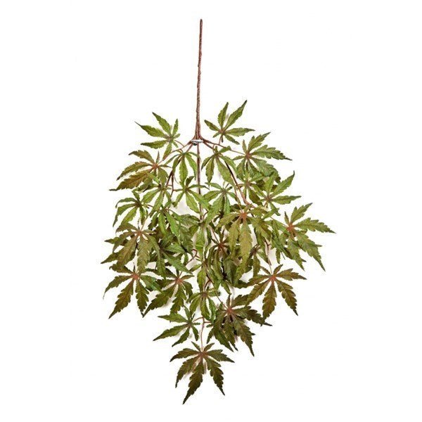 FR JAPANESE MAPLE SPRAY X 36 - NOVA LIGNUM