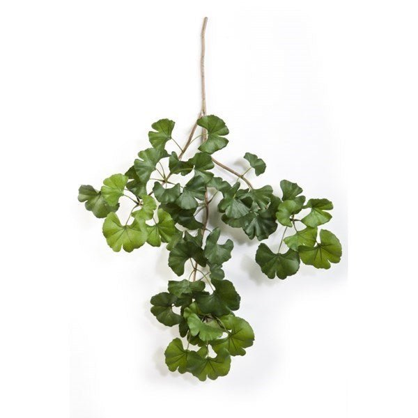 FR SWEET GINGKO SPRAY X 52 - NOVA LIGNUM