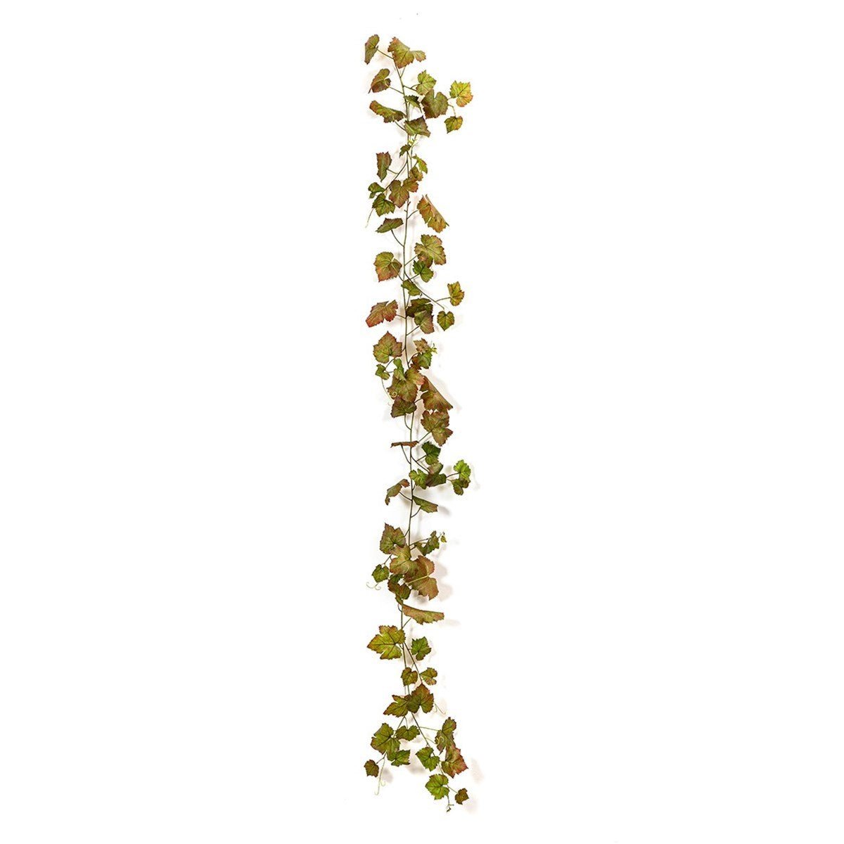 Grape Ivy Vine Autumn 230 cm - NOVA LIGNUM